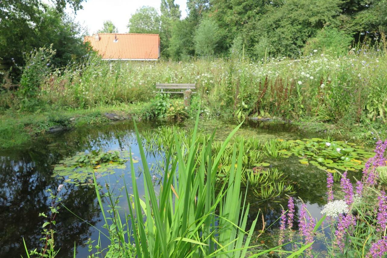 Het Kunstenaarshuis Kamperland Exterior photo